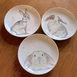 Pier one ,bunny rabbit plates, set of 3 8” wide great for Easter